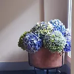 Apartman Elegante E Panoramico Bilocale La Libellula *