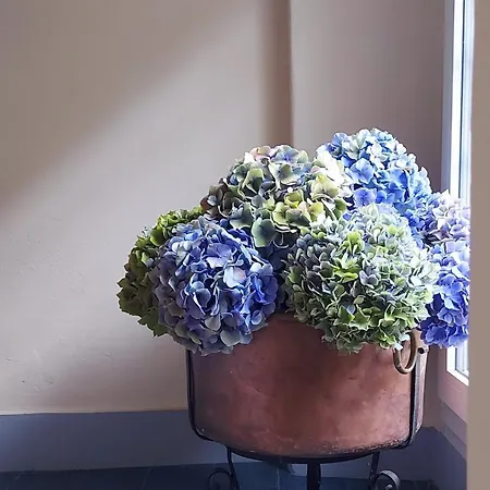 Appartement Elegante E Panoramico Bilocale La Libellula *