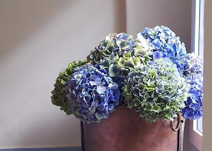 Apartament Elegante E Panoramico Bilocale La Libellula *